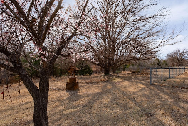 view of yard featuring a rural view