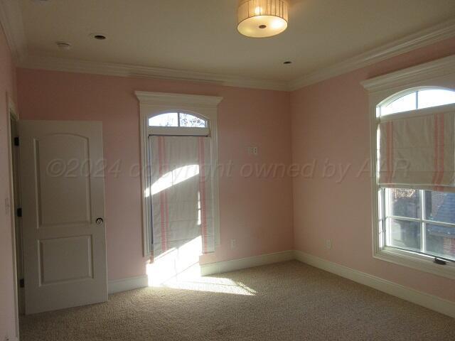 carpeted foyer entrance featuring crown molding and a healthy amount of sunlight