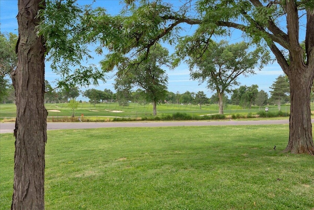 4400 Gem Lake Rd, Amarillo, TX 79106 - view of green lawn