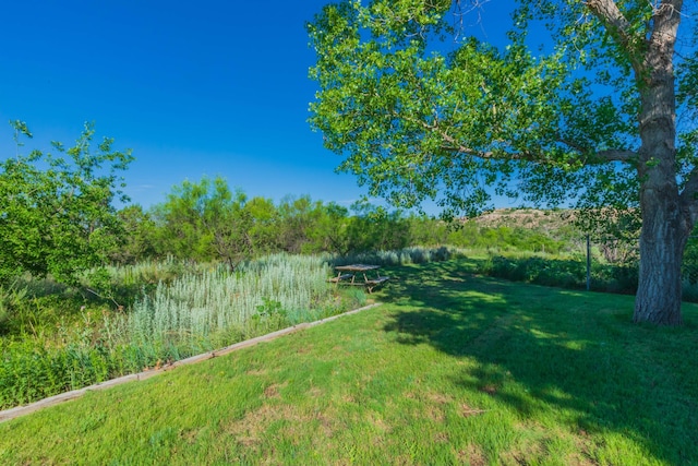 521 Fox Ridge Rd, Amarillo, TX 79118 - photo 53