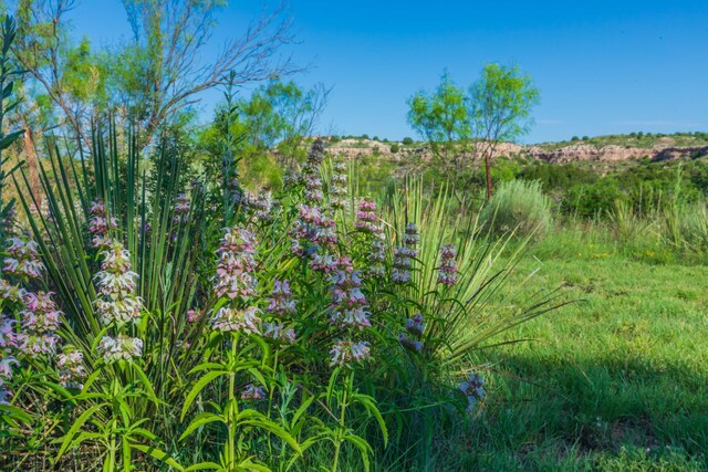 521 Fox Ridge Rd, Amarillo, TX 79118 - photo 62