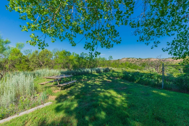 521 Fox Ridge Rd, Amarillo, TX 79118 - photo 54