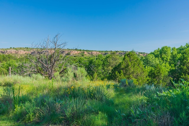 521 Fox Ridge Rd, Amarillo, TX 79118 - photo 61