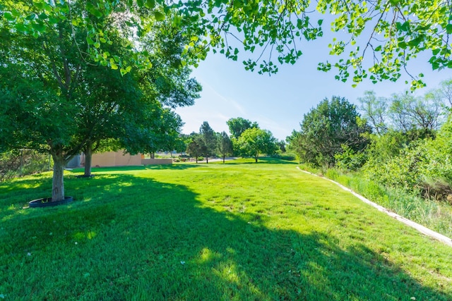 521 Fox Ridge Rd, Amarillo, TX 79118 - photo 63