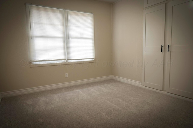 unfurnished bedroom featuring carpet flooring