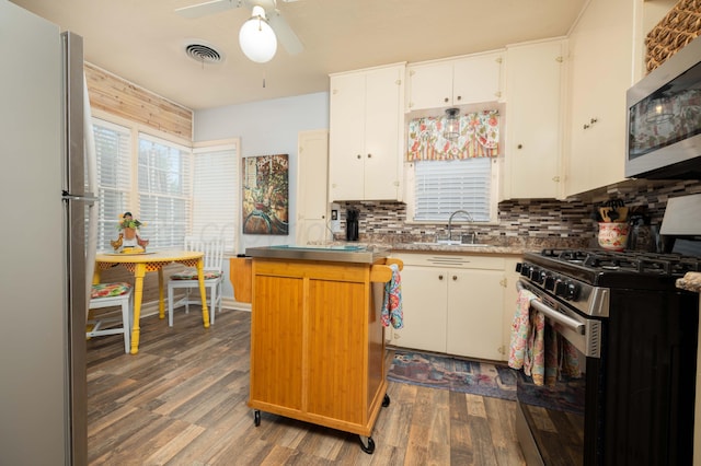 kitchen featuring stainless steel appliances, a sink, wood finished floors, tasteful backsplash, and a ceiling fan