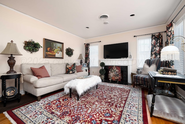 living area featuring wood finished floors, plenty of natural light, and a fireplace