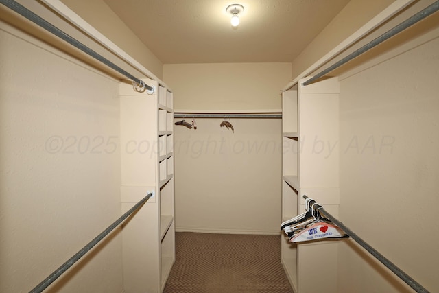 4410 Chandler Dr, Amarillo, TX 79109 - view of spacious closet