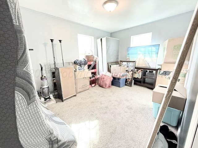 interior space featuring ornamental molding and carpet floors