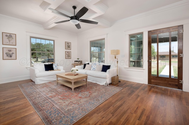 living room featuring beam ceiling, ceiling fan, coffered ceiling, dark hardwood / wood-style flooring, and crown molding