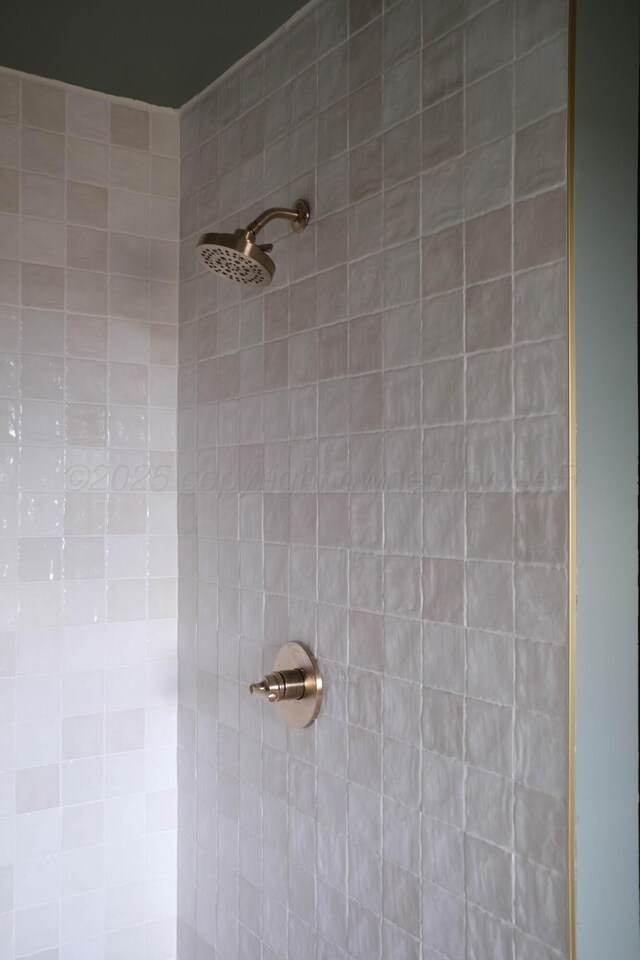 interior details with tiled shower