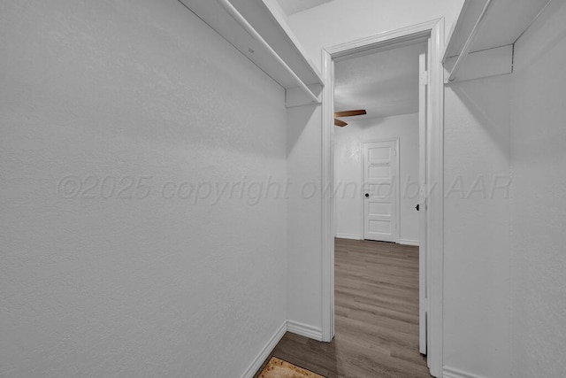 301 Estireno St, Borger, TX 79007 - walk in closet with wood finished floors and ceiling fan
