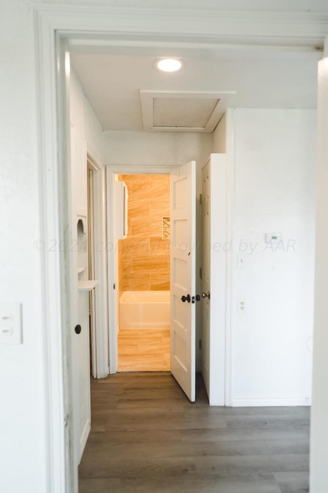 corridor featuring dark hardwood / wood-style flooring