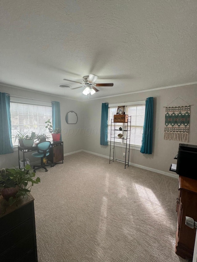 carpeted office space with ceiling fan, a textured ceiling, visible vents, and baseboards