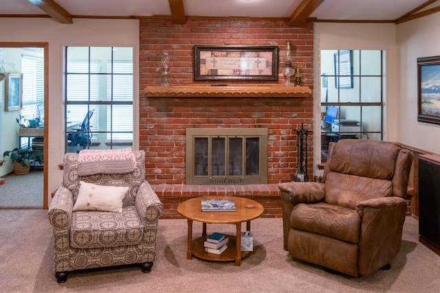 carpeted living room with a fireplace, beam ceiling, plenty of natural light, and crown molding