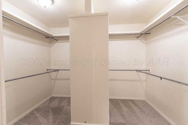 3520 S Mirror St, Amarillo, TX 79118 - walk in closet featuring carpet floors