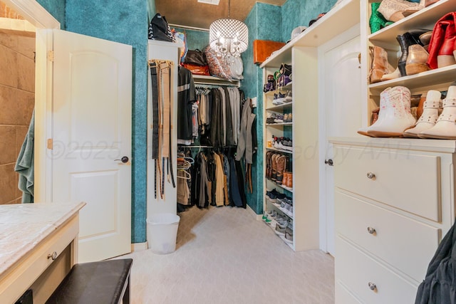 7809 Clearmeadow Dr, Amarillo, TX 79119 - walk in closet with light carpet