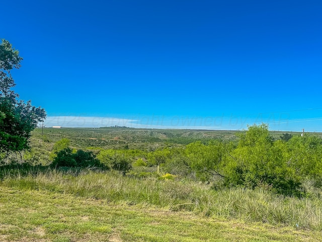 311 Jennie Ln, Borger, TX 79007 - view of nature