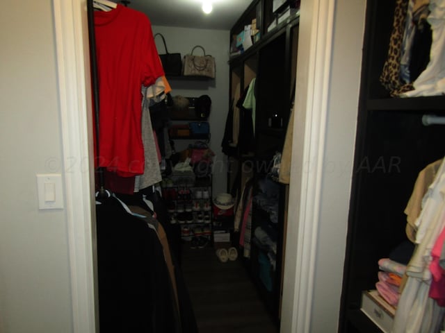 view of walk in closet