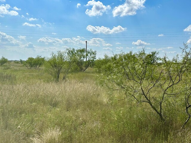 810 Canyon Pkwy, Canyon, TX 79015 - photo 4