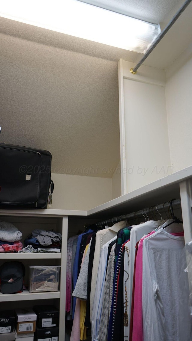 view of walk in closet