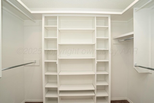 2607 15th Ave, Canyon, TX 79015 - view of spacious closet