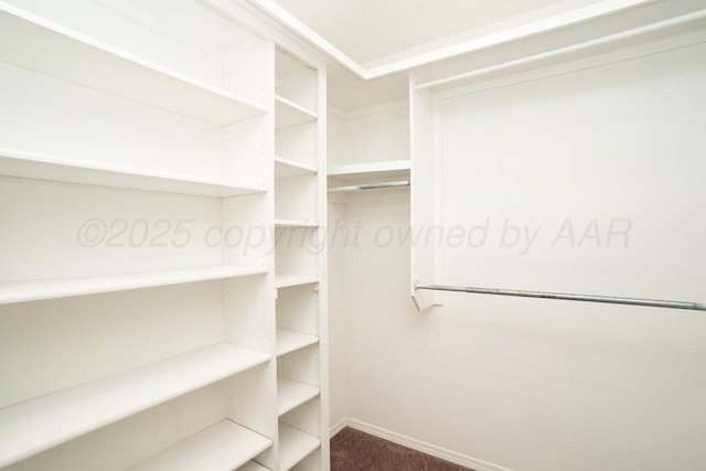 2607 15th Ave, Canyon, TX 79015 - walk in closet with carpet flooring