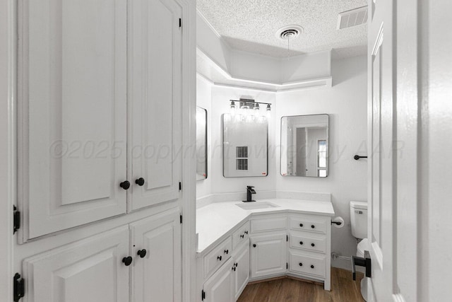 2607 15th Ave, Canyon, TX 79015 - bathroom with wood finished floors, toilet, a textured ceiling, and vanity