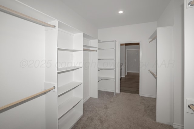 walk in closet featuring light colored carpet