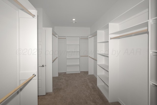 walk in closet with dark colored carpet