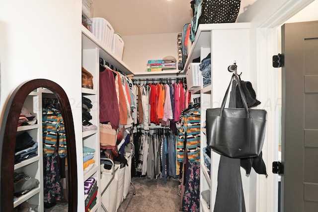 spacious closet featuring carpet