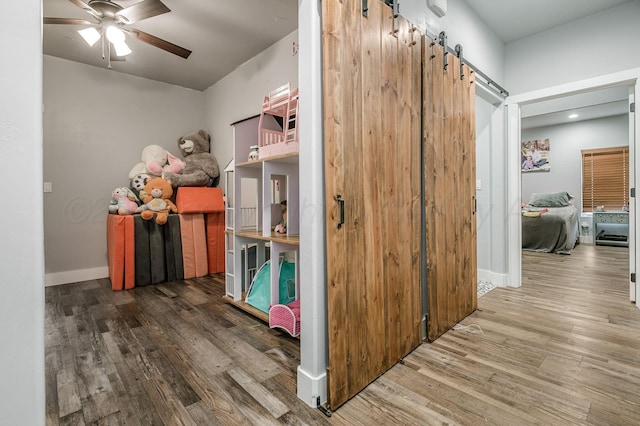 storage room with a ceiling fan