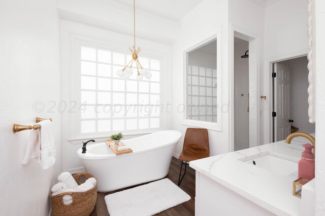 bathroom with a bathing tub, vanity, a healthy amount of sunlight, and wood-type flooring