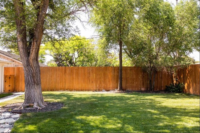 2406 Anna St, Amarillo, TX 79106 - view of yard