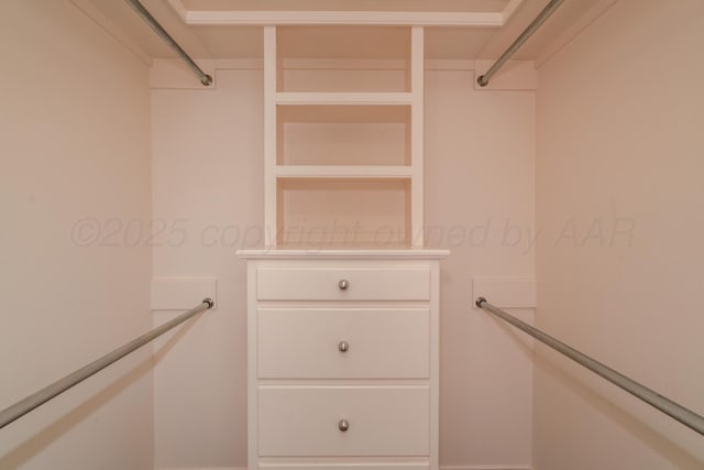 view of spacious closet