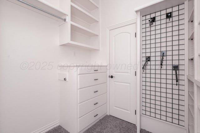 spacious closet featuring carpet