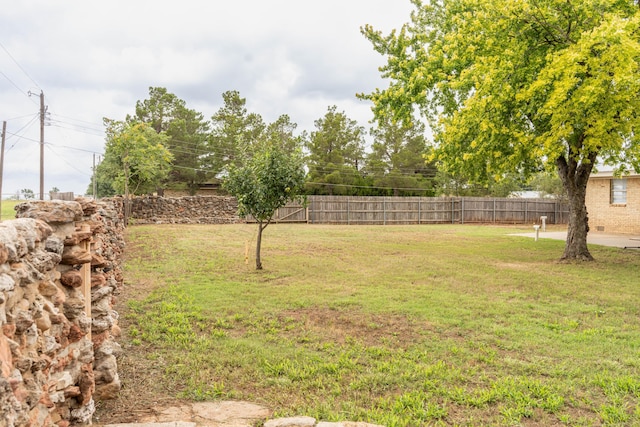508 S Austin St, Shamrock, TX 79079 - view of yard