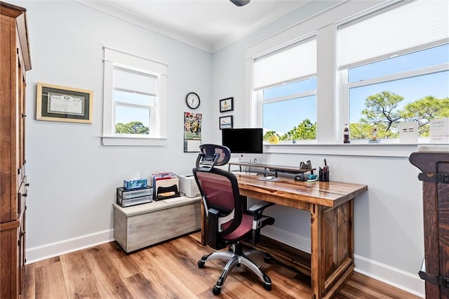 204 Magnolia Ct, Dauphin Island, AL 36528 - office space with crown molding, wood finished floors, and baseboards