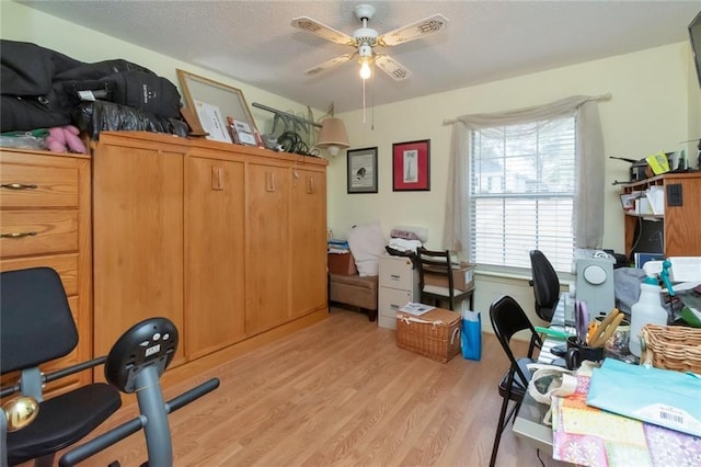 office with ceiling fan, a textured ceiling, and light wood-type flooring