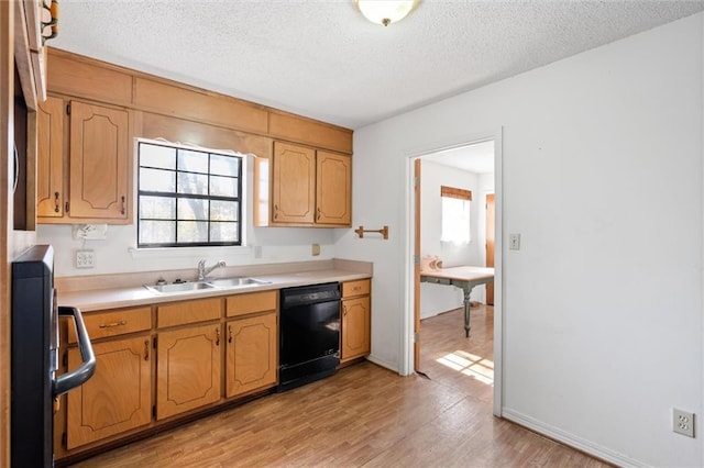 kitchen with sink, a textured ceiling, light hardwood / wood-style floors, and dishwasher