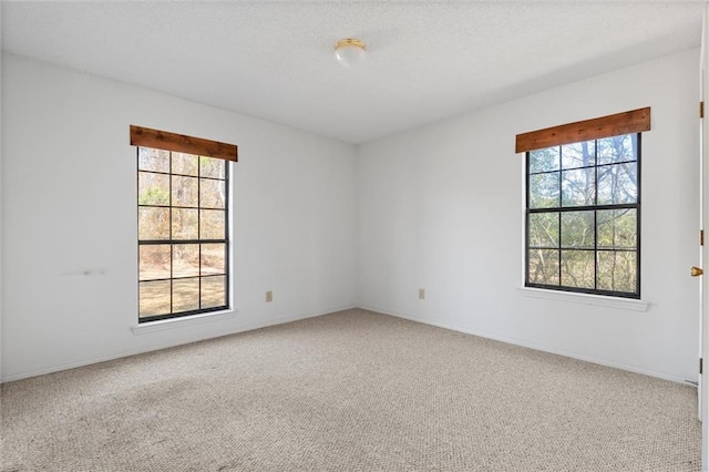 unfurnished room with plenty of natural light, carpet floors, and a textured ceiling