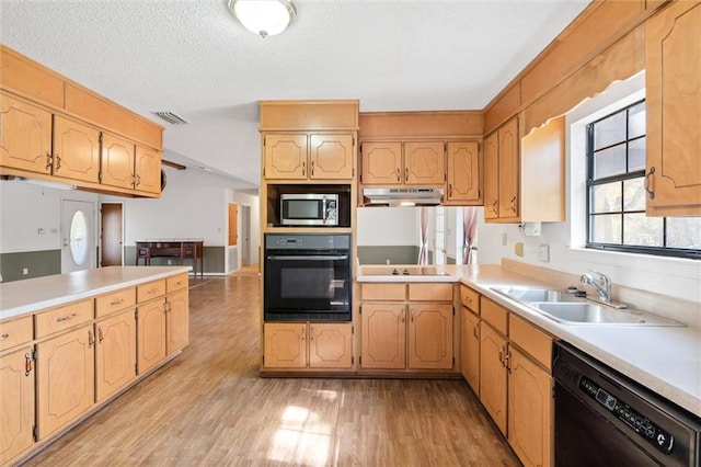 kitchen featuring light wood-type flooring, sink, a textured ceiling, and black appliances