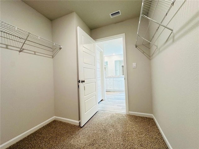 walk in closet featuring carpet floors