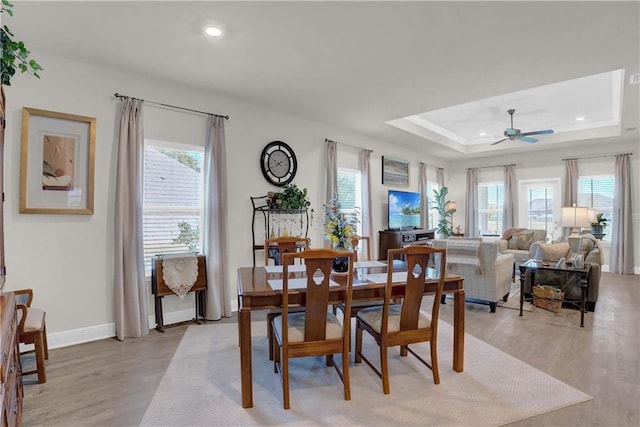 dining space with ceiling fan, a raised ceiling, light hardwood / wood-style flooring, and plenty of natural light