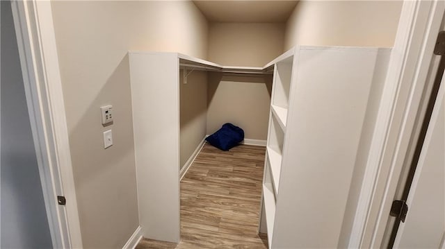 spacious closet featuring light hardwood / wood-style floors