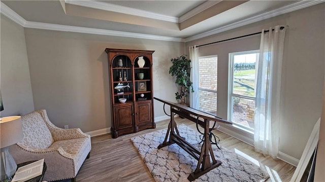 office featuring wood-type flooring, a tray ceiling, and ornamental molding