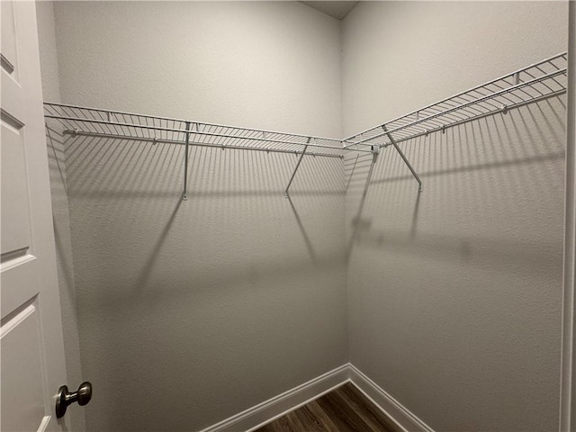 walk in closet featuring hardwood / wood-style flooring