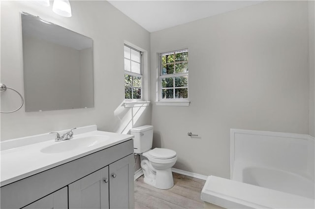 bathroom featuring hardwood / wood-style floors, vanity, and toilet