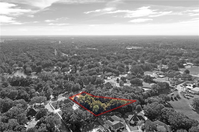 8814 Dawes Lake Rd N, Mobile, AL 36619 - bird's eye view featuring a forest view