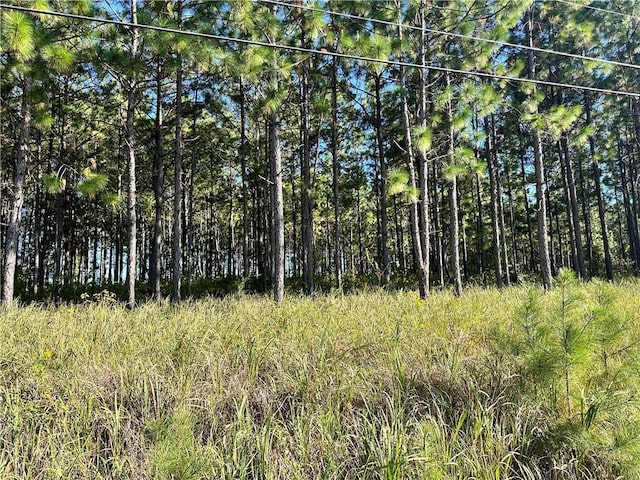 Listing photo 2 for 0 Red Fox Rd, Mount Vernon AL 36560